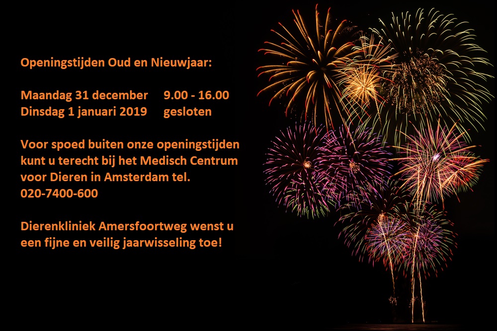 Gewijzigde openingstijden Oud en Nieuwjaar