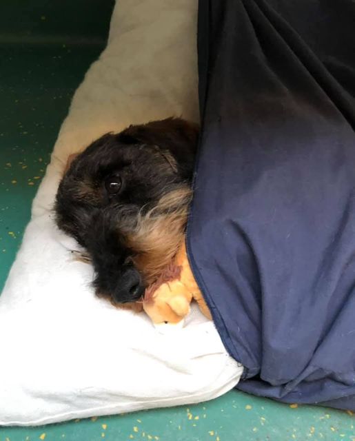 Openingstijden Pinksterweekend 2021